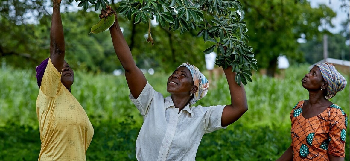 Tree Aid